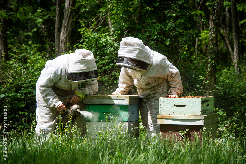 Beekeeper working collect honey. Beekeeping concept. Beekeeper working collect honey. Beekeeping concept.
