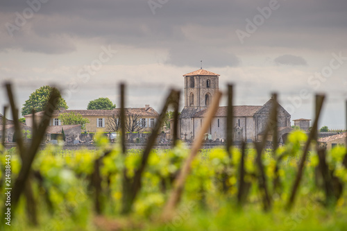 Obraz na plátně Vineyards of Saint Emilion, Bordeaux Vineyards