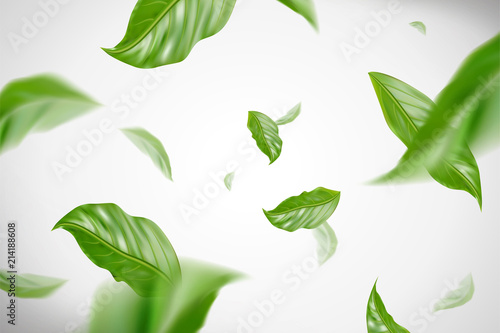 Dynamic green leaves