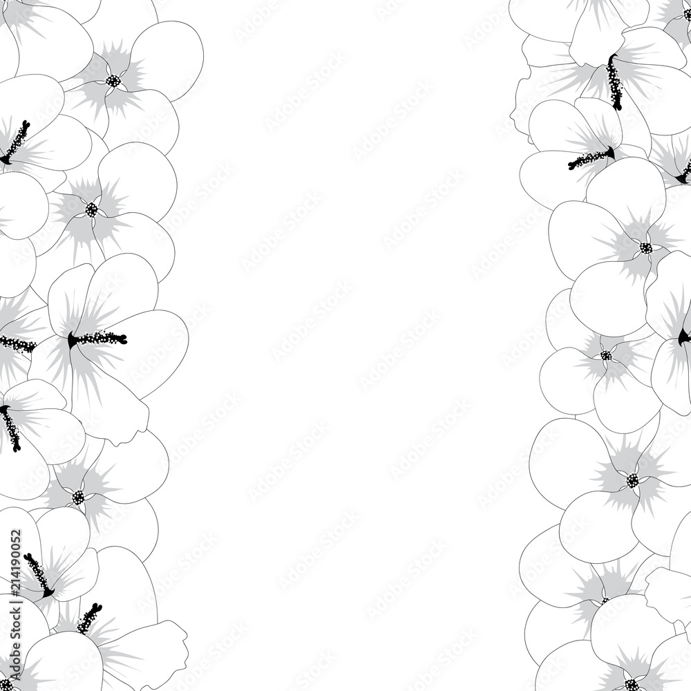 Hibiscus syriacus Flower Outline - Rose of Sharon Border Hibiscus syriacus Flower Outline - Rose of Sharon Border