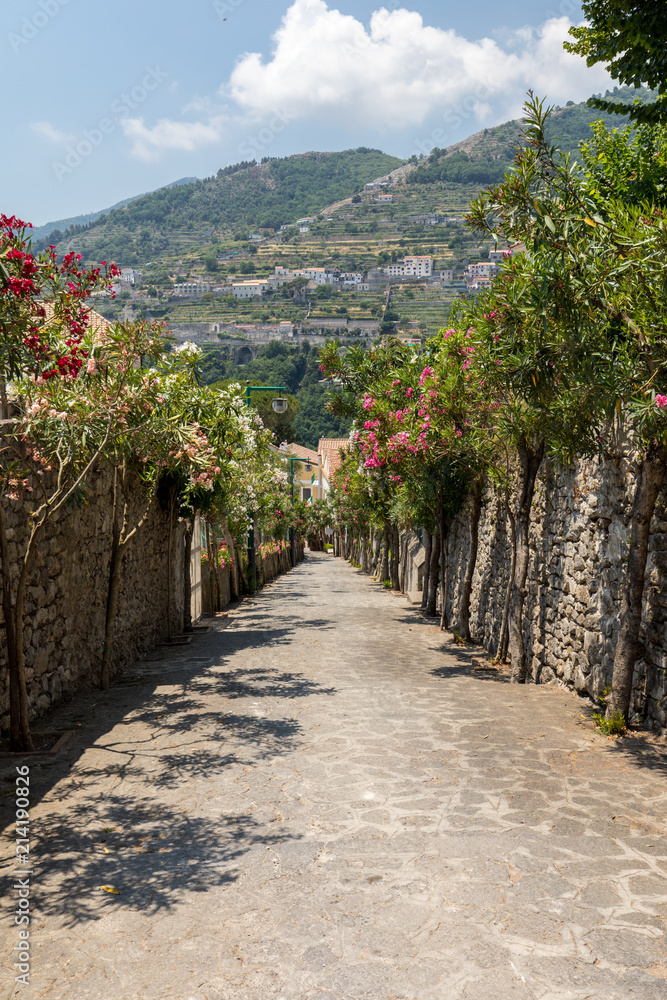 A narrow steep street with blooming oleanders in Ravello. Amalfi Coast. Italy