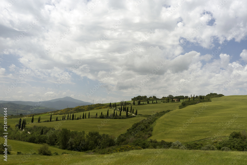 Rural landscape in Tuscany