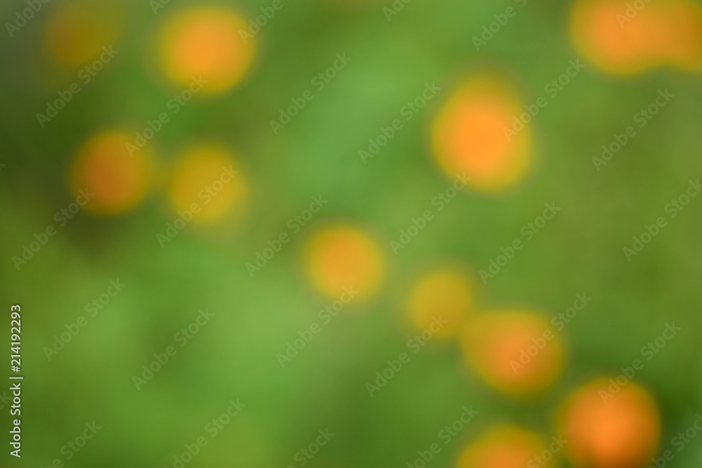 Obraz premium The background is multicolored and blurry.