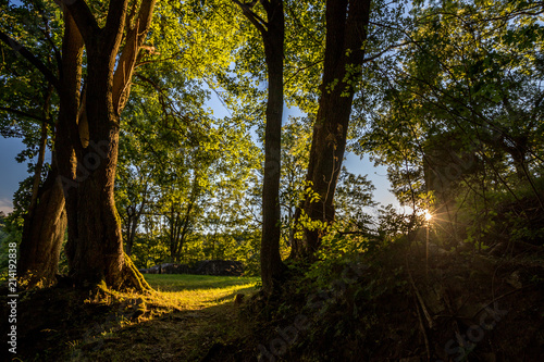 Burgruine im Sonnenuntergang im Waldecker Land © parallel_dream