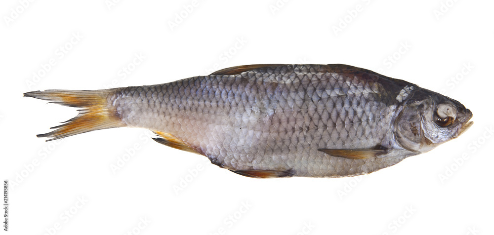 Dried, dried fish isolated on white background Dried, dried fish isolated on white background