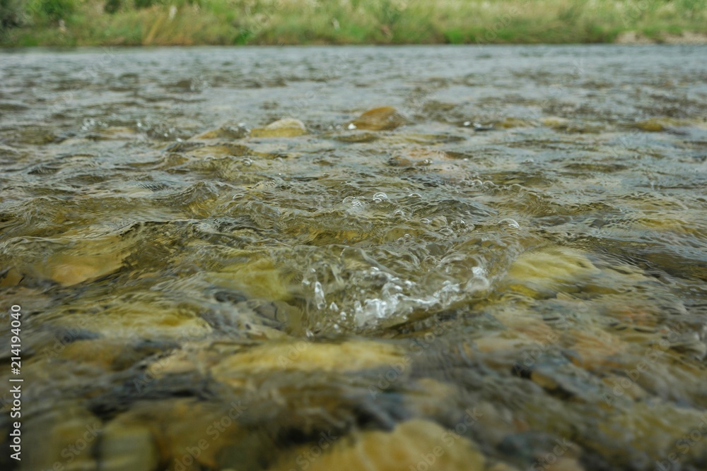 The rocky bottom of a mountain river The rocky bottom of a mountain river