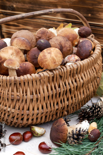 Boletus mushrooms in basket. Close up. Autumn background.