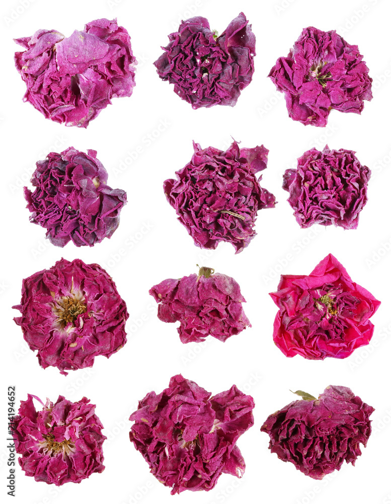 Dried pink rose flowers are used in medicine for tea making Dried pink rose flowers are used in medicine for tea making