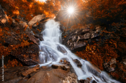 Beautiful autumn waterfall in forest with golden foliage © Nickolay Khoroshkov