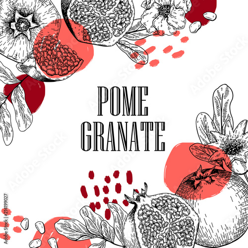 Hand drawn pomegranate composition. Vector engraved illustration. Juicy natural fruit. Food healthy ingredient. For cooking, cosmetic package design, medicinal herb, treating, healt care.