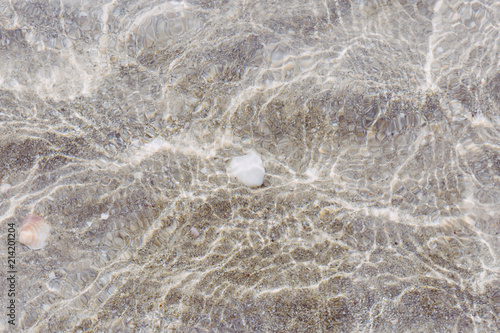 white shell in the sea as a background. Sun reflection