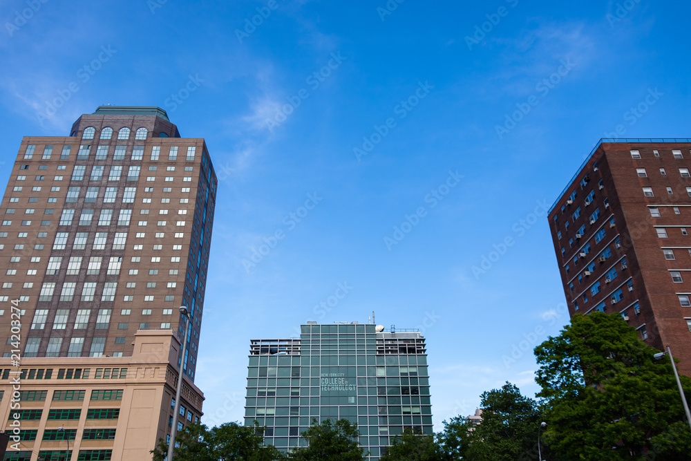 Fototapeta premium New York City Building