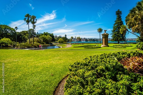 Photography Botanic garden of Sydney, Australia, in the summer