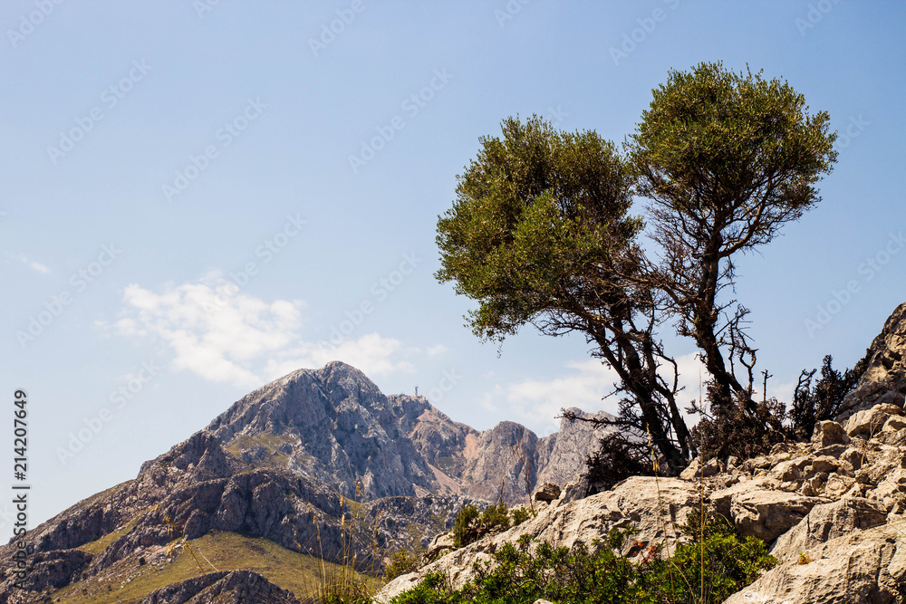 Aussicht von abgelegenem Hügel auf beeindruckende Berglandschaft, strahlender Tag, Sa Calobra-Mallorca