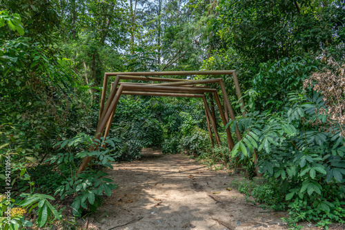 Photography Jungle path with structure and a Monkey