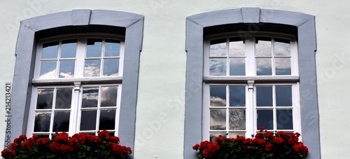 Fototapeta Naklejka Na Ścianę i Meble -  fenêtre fleurie