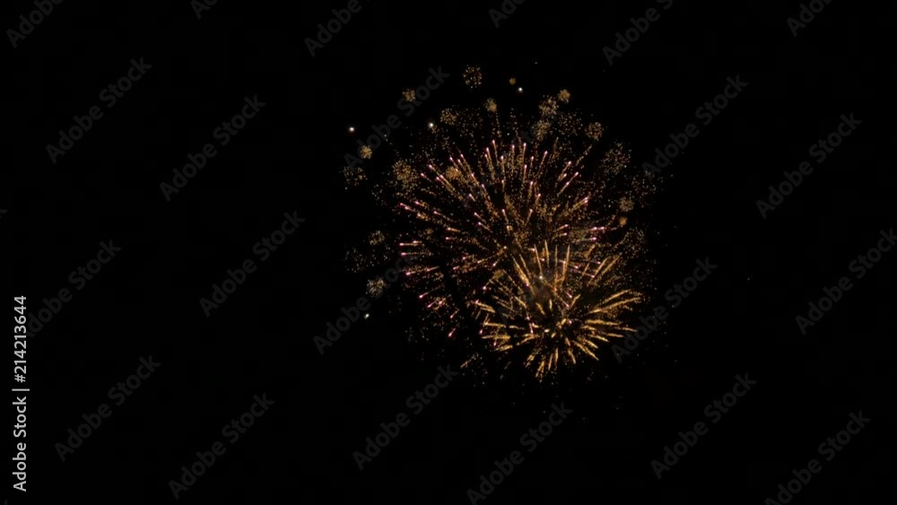 Fireworks Display on Pitch Black Background Fireworks Display on Pitch Black Background