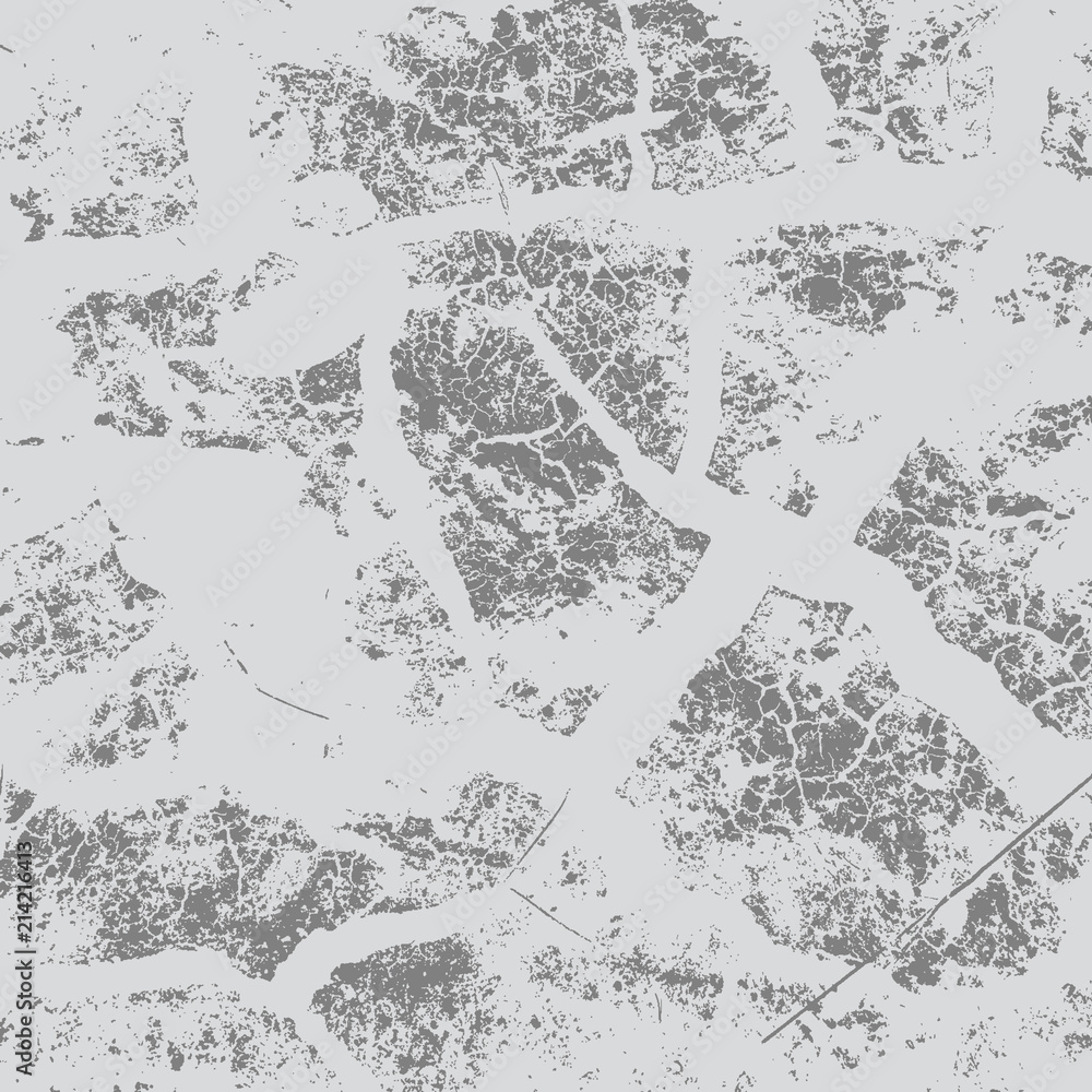 Fototapeta premium Gray Grunge Texture