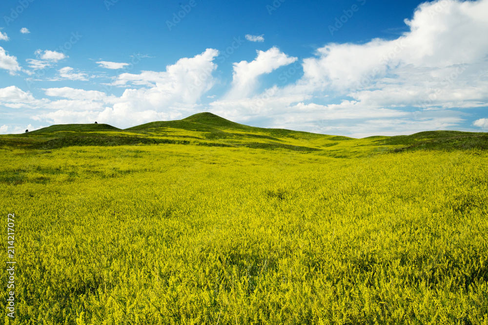 Fototapeta premium Black Hills South Dakota
