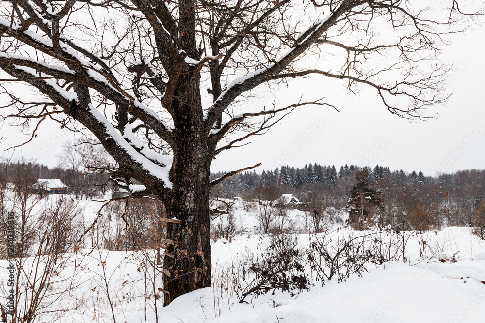 winter landscape of old little russian village winter landscape of old little russian village