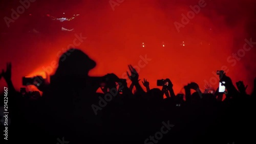 Heads of people at rock concert at night