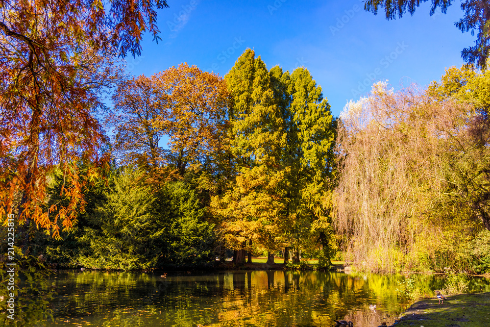 autumn beautiful forest. Autumn landscape autumn beautiful forest. Autumn landscape