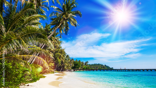 beach with palm tree over the sand © EwaStudio