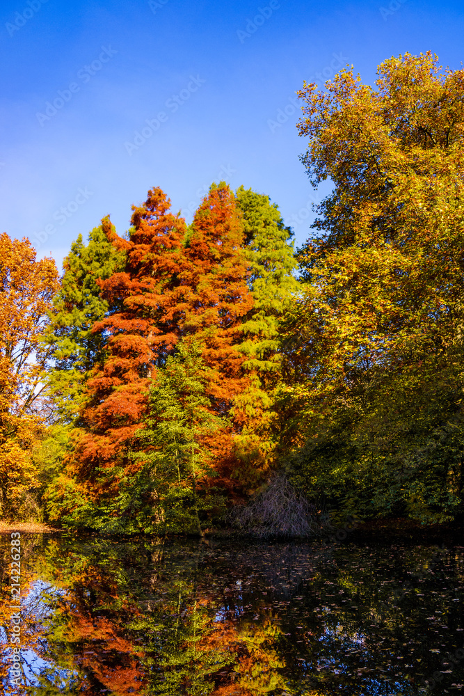 Fototapeta premium Wonderful Landscape. Colorful Autumn scene