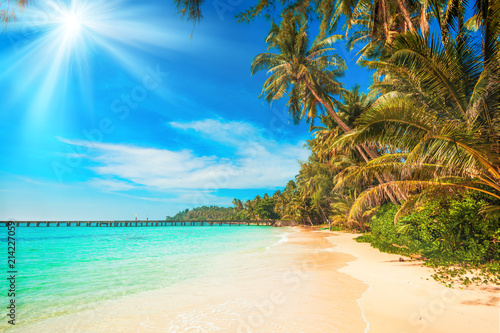 Fototapeta Naklejka Na Ścianę i Meble -  tropical beach.  sea and coconut palm.  Landscape of paradise tropical island beach