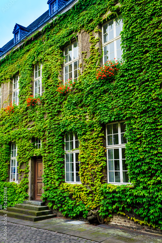 Old house covered by green ivy