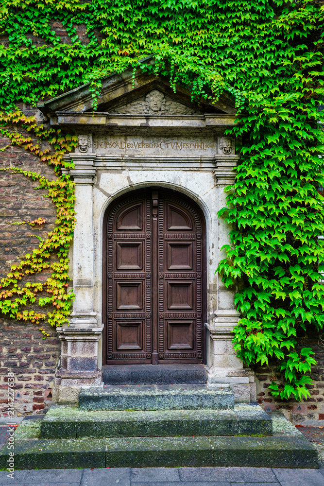 Rustic wooden door entrance covered in beautiful green leaves Rustic wooden door entrance covered in beautiful green leaves