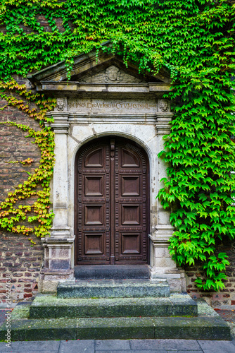 Rustic wooden door entrance  covered in beautiful green leaves