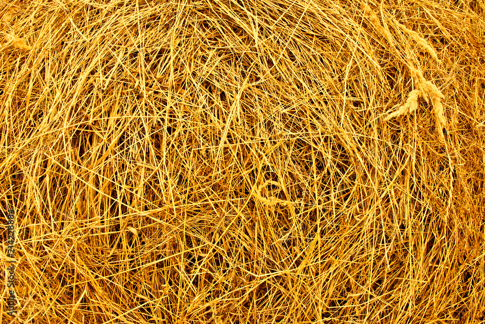 hay background