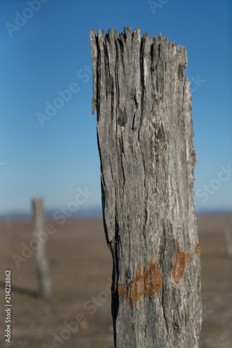 Wooden post on Lake George