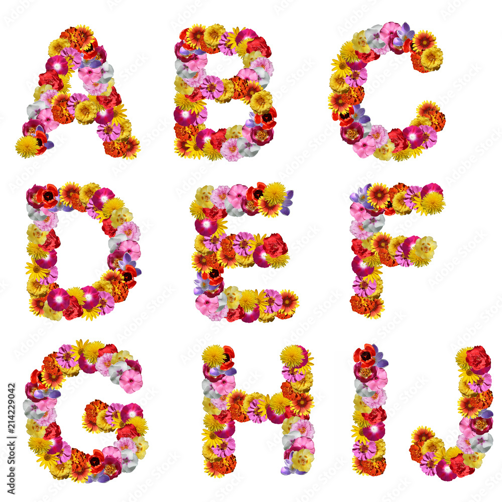 Naklejka premium alphabet of flowers