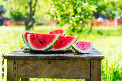 Watermelon slices in the garden photo