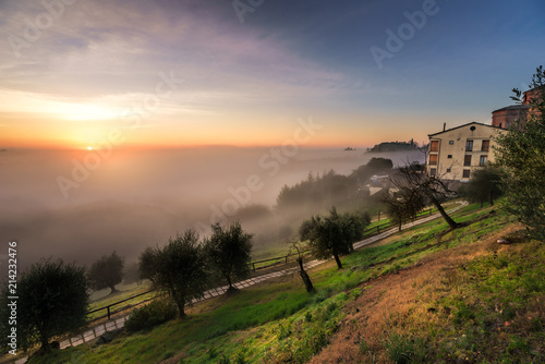Fog welcomes sunrise in the countryside of Siena  Italy.