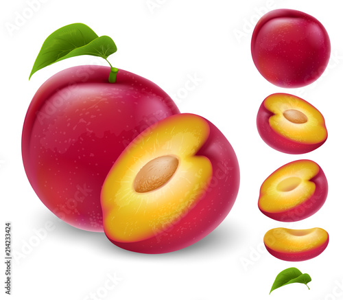 Set of plum fruit