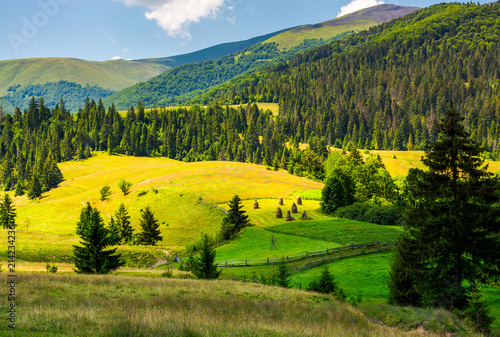 Obraz na płótnie beautiful rural scenery in mountains. haystack on the grassy agricultural fields among the spruce forest on the hills w salonie