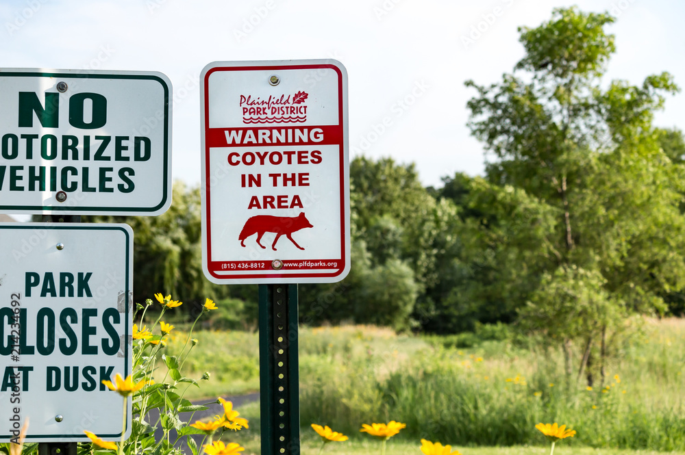 Sign warning coyotes in the area with grass and trees in the background. Red and white park district sign warns visitors of coyotes