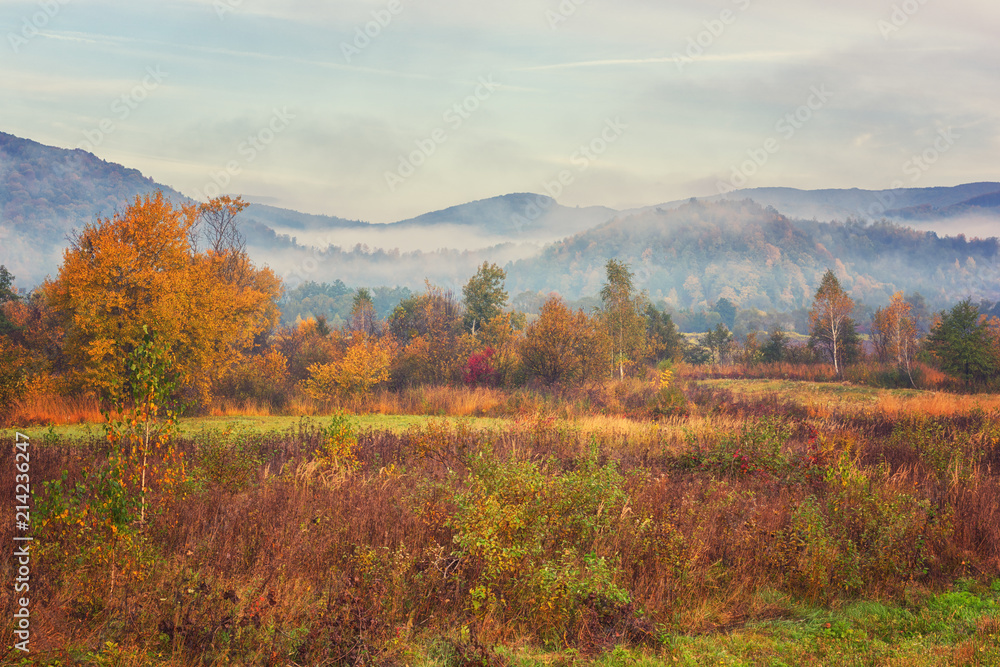 Beautiful autumn mountain landscape, foggy morning in the Carpathians