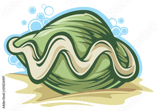 Clam
