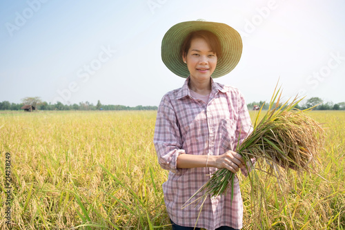 smile farmer woman wear hat using sickle to harvesting rice paddy in rice field Thailand.