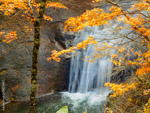 Fototapeta Naklejka Na Ścianę i Meble -  恵庭渓谷の白扇の滝