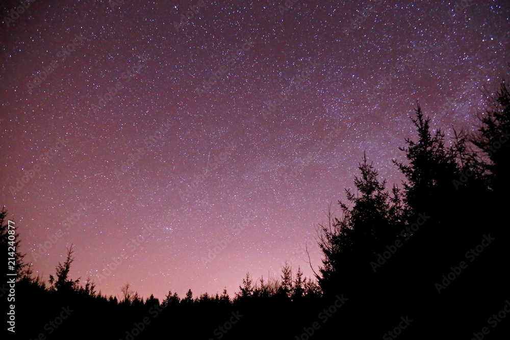 Dark night starry sky with blue milky way, pink, blue, mauve, magenta colors, silhouettes of trees on black horizon