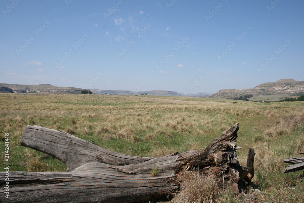 Fototapeta premium landscape