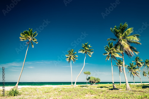 Amazing tropical beach landscape with palm trees © PerfectLazybones