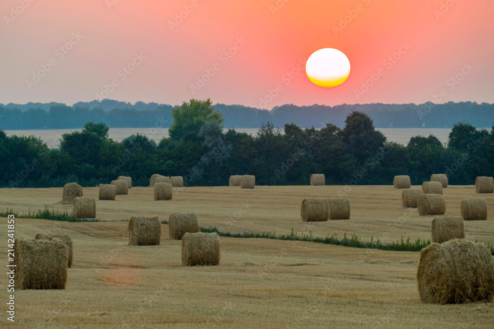 A majestic view of the sun slowly rolling on a tree planting with a nearby field of dried hay.