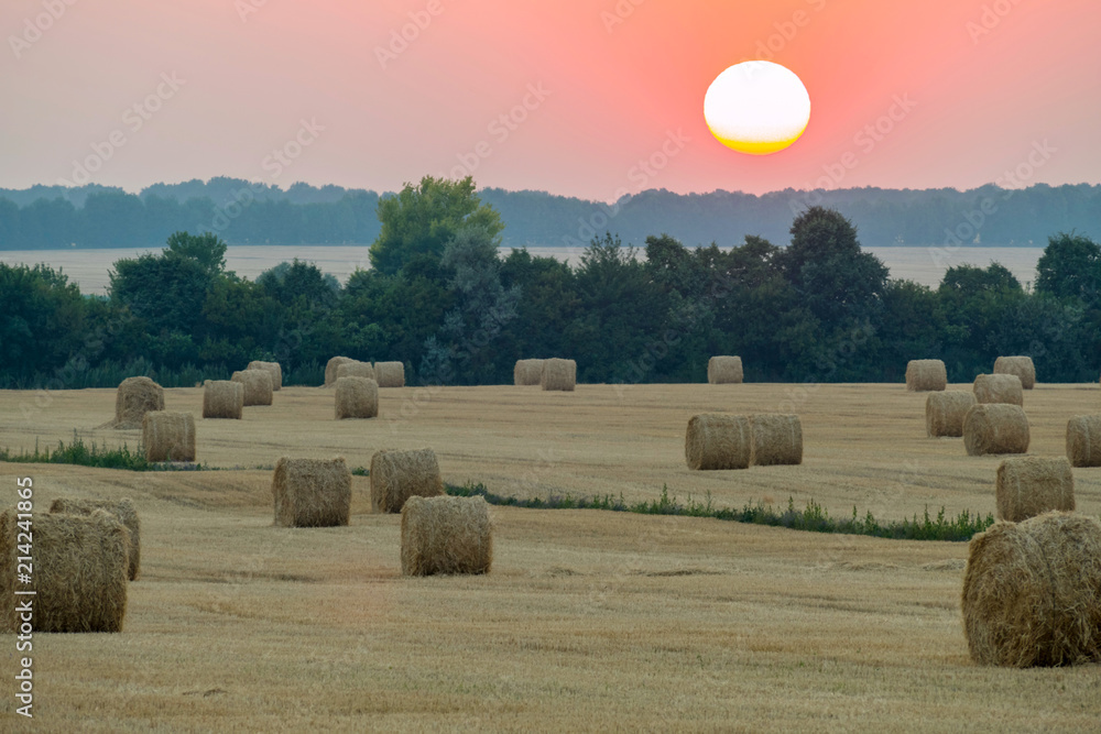 Huge stacks of mown hay against the background of the evening sun