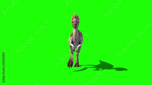 Oviraptor Dinosaurs Run Cycle Front Green Screen Jurassic World 3D Rendering photo